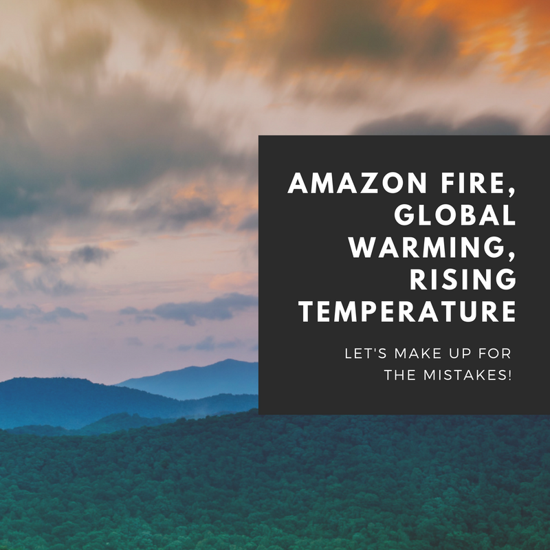 Amazon Fire, Global Warming, Rising Temperature - Let's make up for the mistakes!
